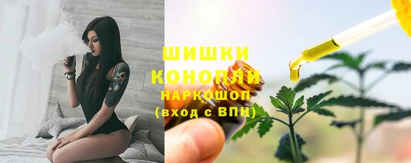 дмт Богородск