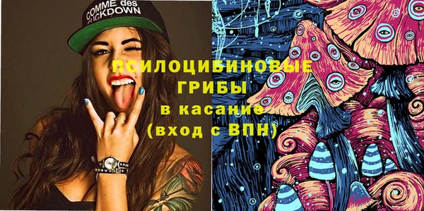 дмт Богородск